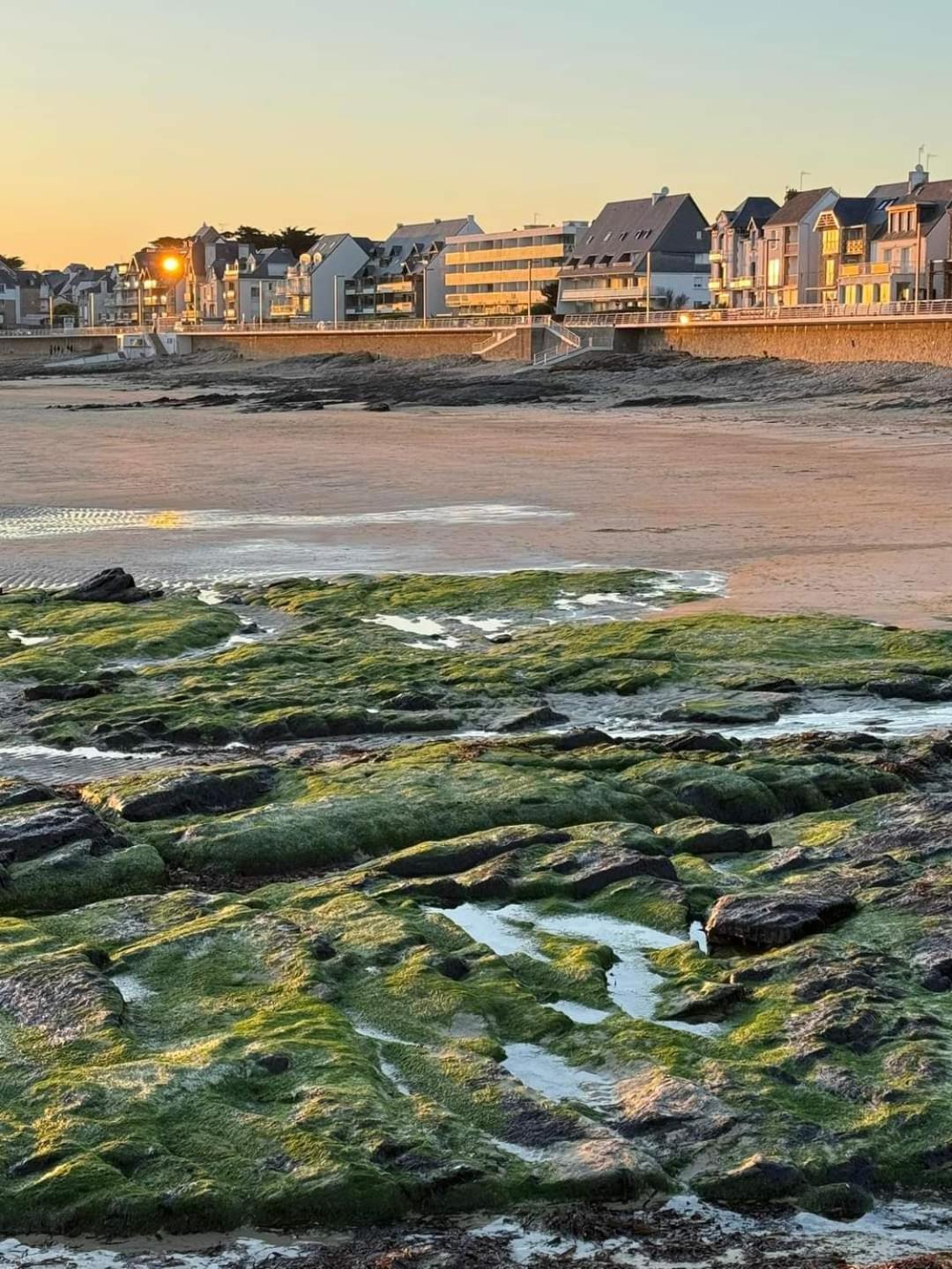 Appartement Cocon A Quiberon Dans Residence Calme, Plages Et Centre Ville A Pied Ou A Velo Pour 2 A 4 Personnes Extérieur photo